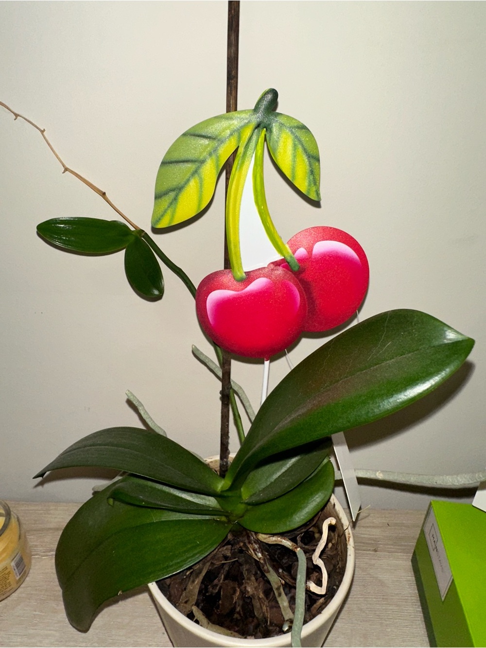 Decorative Cherry Plant Stake - Red and Green